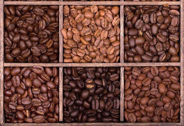コーヒー「種類と特徴」