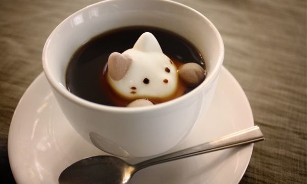 コーヒー「猫マシュマロ」